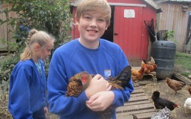 Elms, Oaks and Beeches explore the Ouseburn Valley
