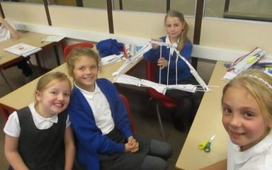 Bridge Building In Tulips