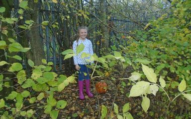 Perfectly placed pumpkins!