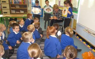 Robins are Road Safety Pros!