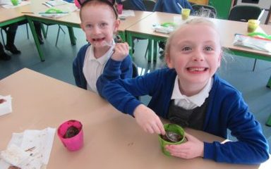 Robins’ Royal Chocolate Cakes