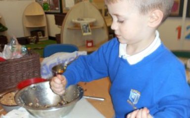 Feeding the birds!