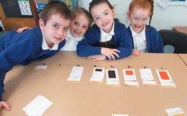 Conquering Capacity in Robins!