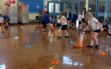 Cricket coaching in Owls