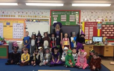 Owls research a famous author for World Book Day