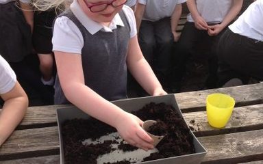 Owls investigate where can cress grow?