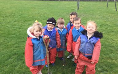 Tremendous tree planting!