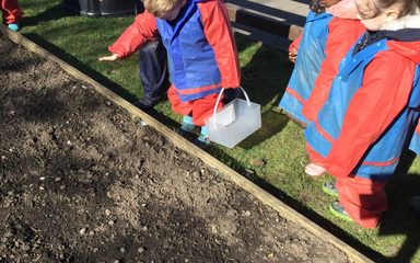 Planting poppy seeds and composting