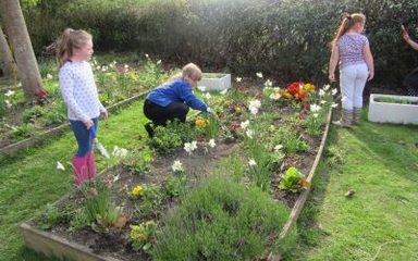 Welcome Back Gardening Club!