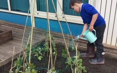 How does your garden grow?