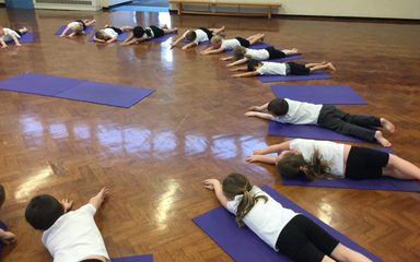 The Dragonflies are super yoga bugs!