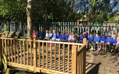 Nursery visit our wonderful pond