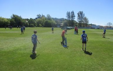 Year 5 Cricket