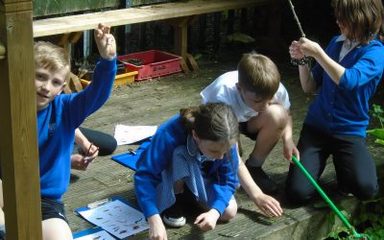 Year 5s go pond-dipping!