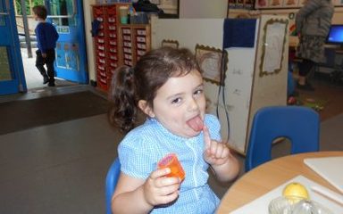 Freshly squeezed fruit juice lollies!