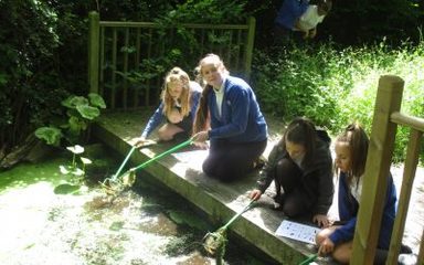Year 6 – pond dipping!