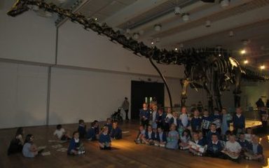 Robins Do Dippy!