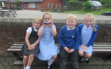 Robins are Raft Builders!