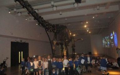 When The Owls Met Dippy!