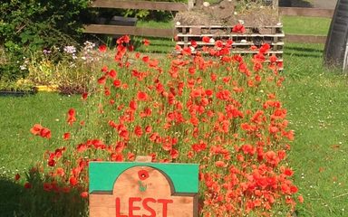 Poppy Memorial Garden