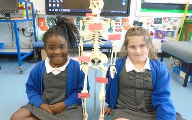 Head, shoulders, knees and toes!
