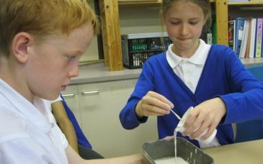 Fossil Formation Fun