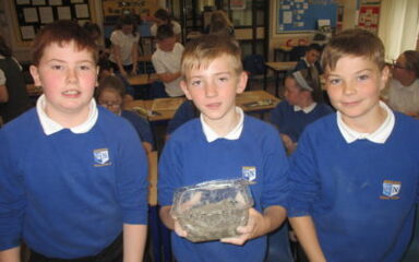 Fossil Fun in the Beeches!