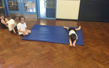 Rocking and rolling with the Dragonflies