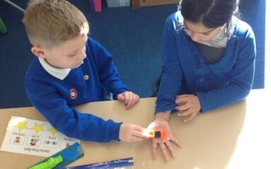 Owls conduct a fair test