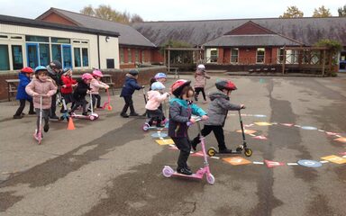 Owls do cycling generation