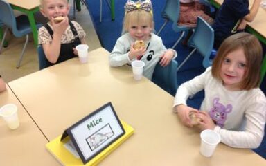 Enjoying Children in Need in Owls