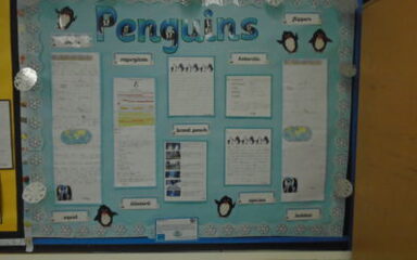 Nightingales are proud to present…