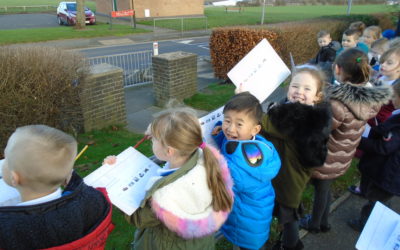 Year 1 Traffic Surveys!
