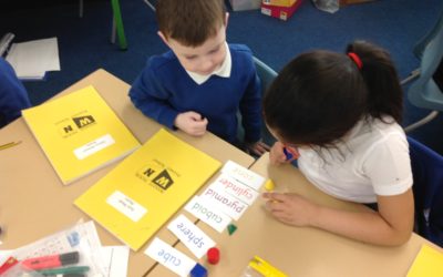 Owls match 3D shapes