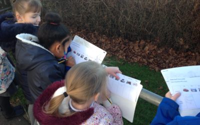 Owls conduct a traffic survey