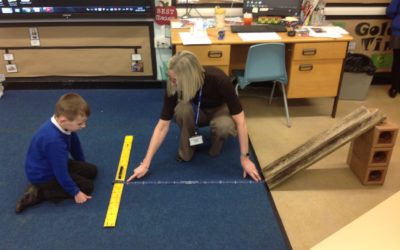 Owls conduct a fair test