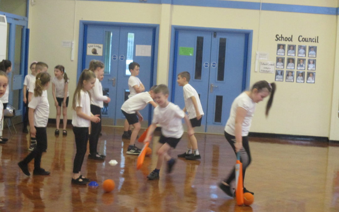 All Star Cricket Taster Sessions
