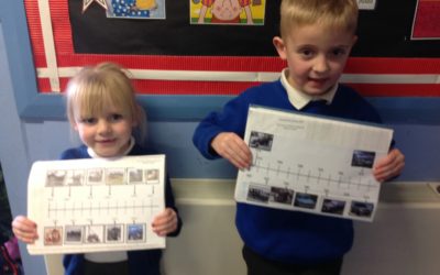 Owls use timeline to identify the change in transport