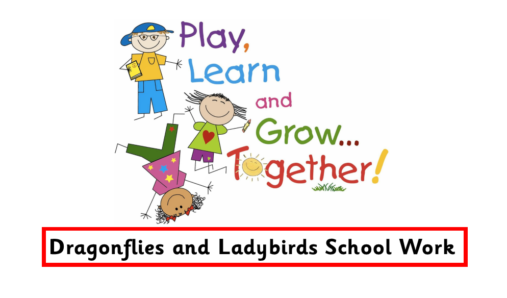 Ladybirds and Dragonflies work set for 31.03.20