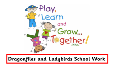 Ladybirds and Dragonflies work set for 27.04.20