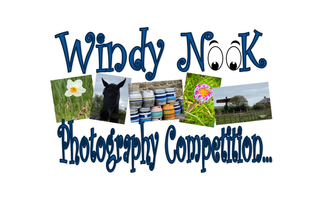 Are you a budding photographer?