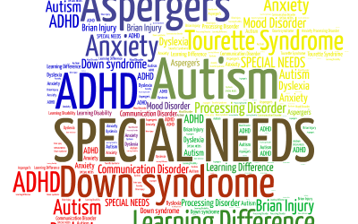 Support for Children with Additional Needs