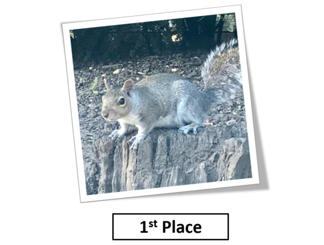And the winner is …