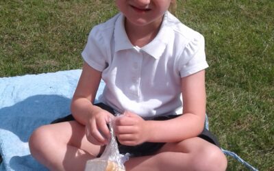Perfect Picnic in the Sun