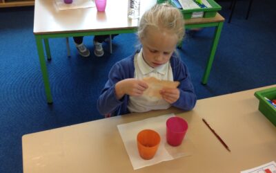 Owls home and school learning w.c. 29.06.20