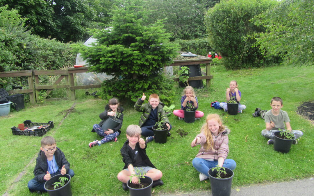 Green Fingered Gardeners