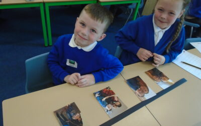 Family Timelines in Owls