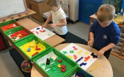 Nuts about the numbers in the Dragonflies Class