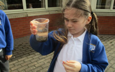 River-ting learning in Snowdrops