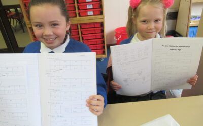 Marvellous Multiplication, Delightful Division